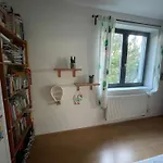 Family House *